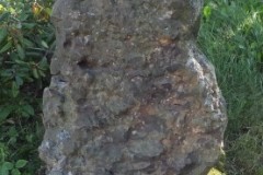 DSCF3401