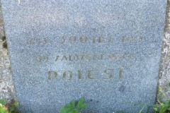 DSCF3402