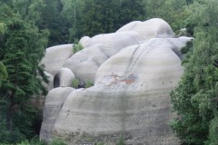 DSCN6758