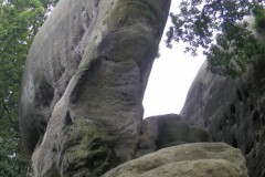 DSCN6762