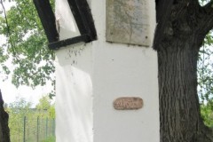 IMG_0335-2