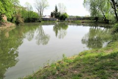 IMG_0304-2
