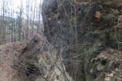 DSCF9782
