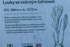 DSCF0075