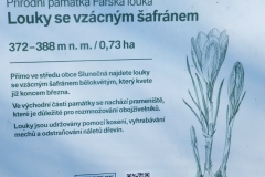 DSCF0072