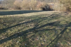 DSCF0073