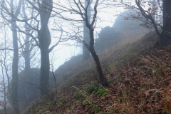 DSCF5665-1