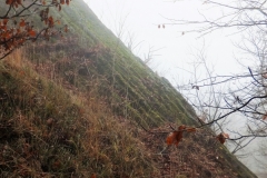 DSCF5668