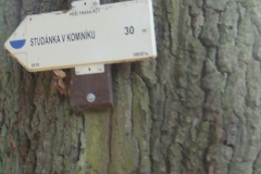 DSCF9648-1