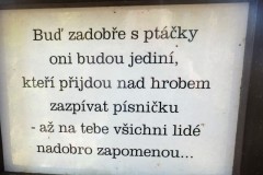 DSCF9635-1