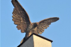 DSCF65502