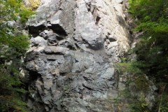 DSCF8830-1