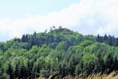 DSCF0488-2