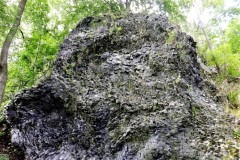DSCF0489-2
