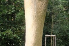 DSCN0180-3
