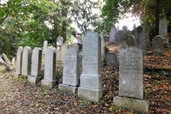 DSCF2391