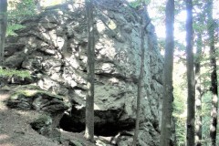 DSCN0220-4