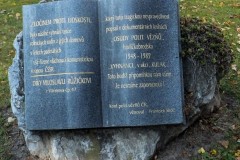 DSCF8635-1