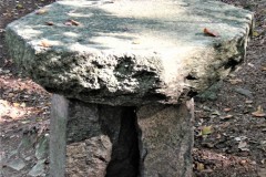 DSCN0225-4