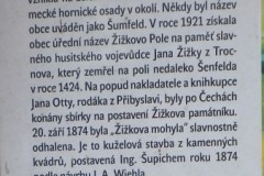 DSCF9311-1